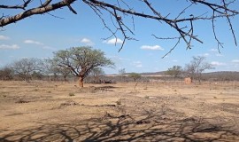 Nordestinos acreditam que efeitos do clima foram mais severos em 2024