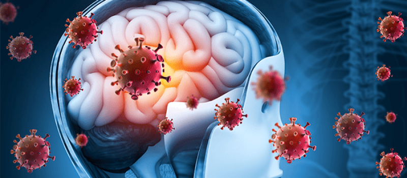 Para�ba registra 156 casos suspeitos de meningite, 38 confirmados e 11 mortes em 2026