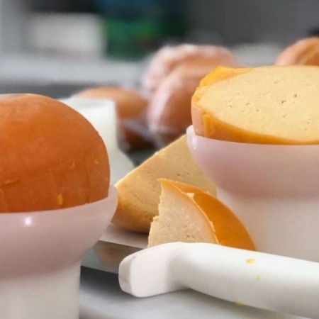 Pesquisadores da UFPB desenvolvem queijo do reino produzido com leite de cabra