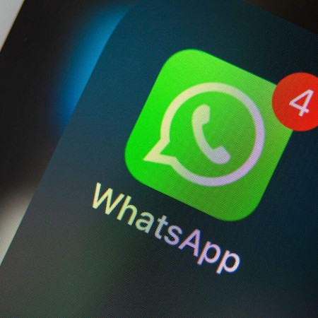 Grupos de WhatsApp para imitar animais se tornam sensa��o entre brasileiros