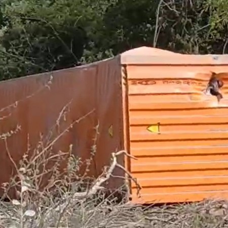Acidente com carreta e carro de passeio mata um na BR-230, na Serra de Santa Luzia