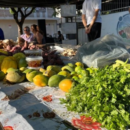Feira da Agricultura Familiar de Patos completa 18 anos e recebe Jornada Paraba Produtiva