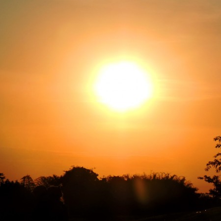 Patos atinge temperatura de 40 devido a calor extremo; sensao trmica ultrapassa