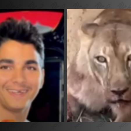 [VDEOS] Homem  morto por leoa aps entrar em jaula na Bica, em Joo Pessoa