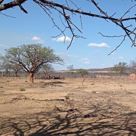 Mundo entrou em estado de 'fal�ncia h�drica', alerta ONU