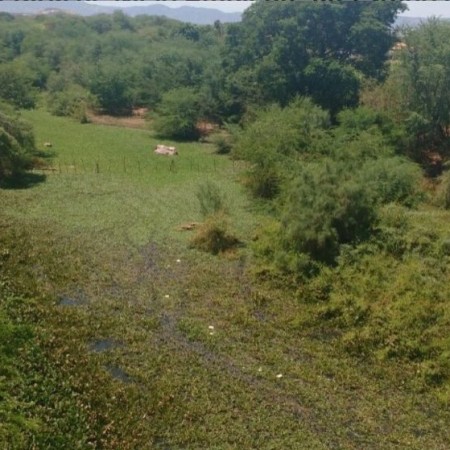 Agricultores de Patos denunciam barramento do leito do Rio Espinharas 