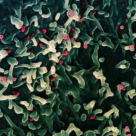 Para�ba investiga caso suspeito de Mpox de turista do Rio Grande do Norte