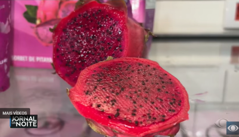 Estudo aponta que pitaia deve ser a principal tend�ncia alimentar de 2026