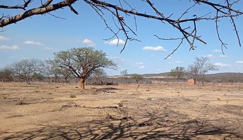 Mundo entrou em estado de 'fal�ncia h�drica', alerta ONU