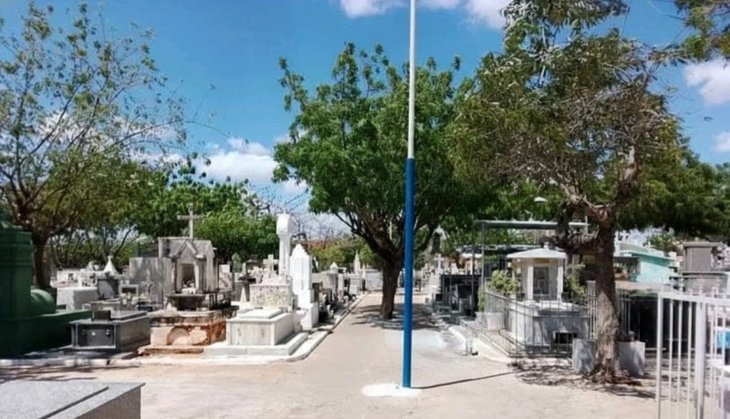 Repercuss�o negativa faz vereadora retirar projeto que sepultaria animais em t�mulos de familiares em Patos