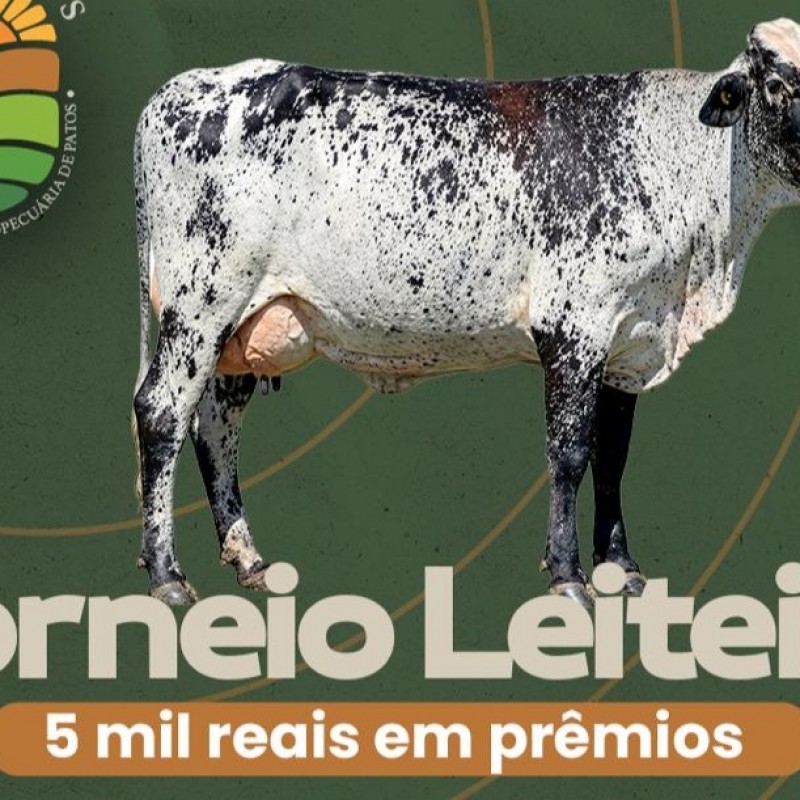 ExpoPatos 2026 come�a nesta quinta-feira (23) com v�rias atra��es como Torneio Leiteiro no Terreiro do Forr�