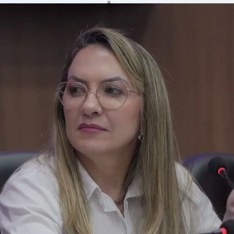 Tide diz que permisso para vereadores assumirem cargos no Estado foi medida de adequao na Lei Orgnica 
