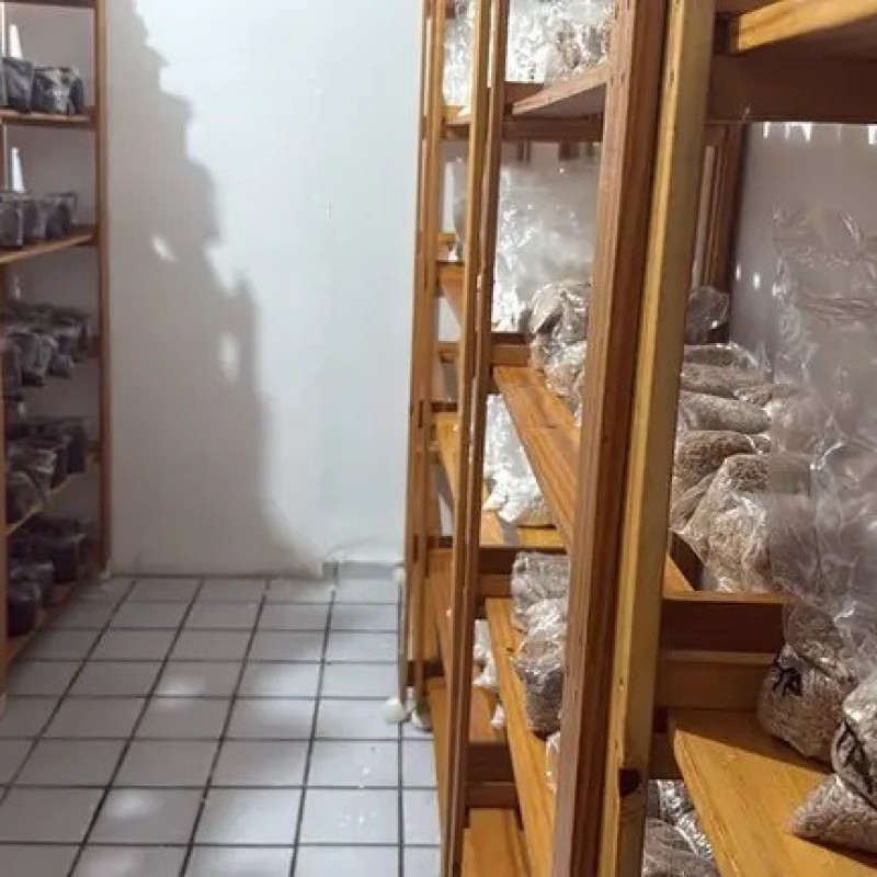 PF cumpre 11 mandados de pris�o contra grupo suspeito de vender drogas pela internet na Para�ba